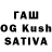 Псилоцибиновые грибы GOLDEN TEACHER Qasim Safar