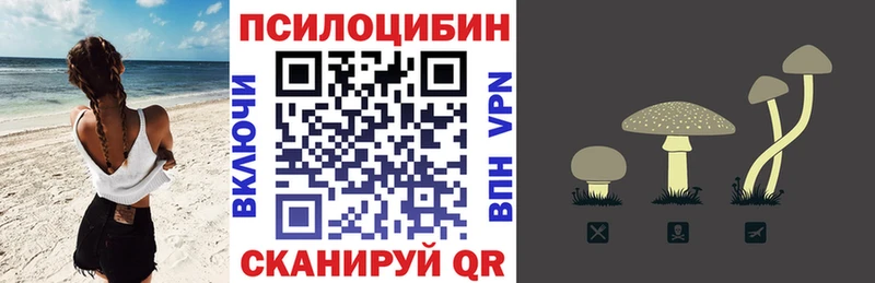 купить закладку  Островной  Псилоцибиновые грибы Psilocybine cubensis 